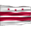 DC Flag